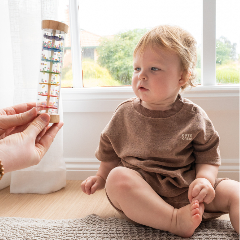 Rainbow Rain Stick Rattle